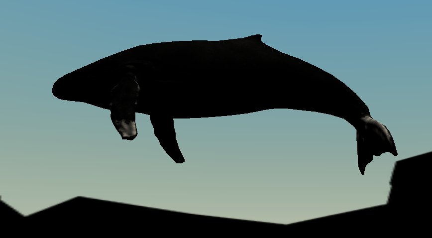 Whale picture