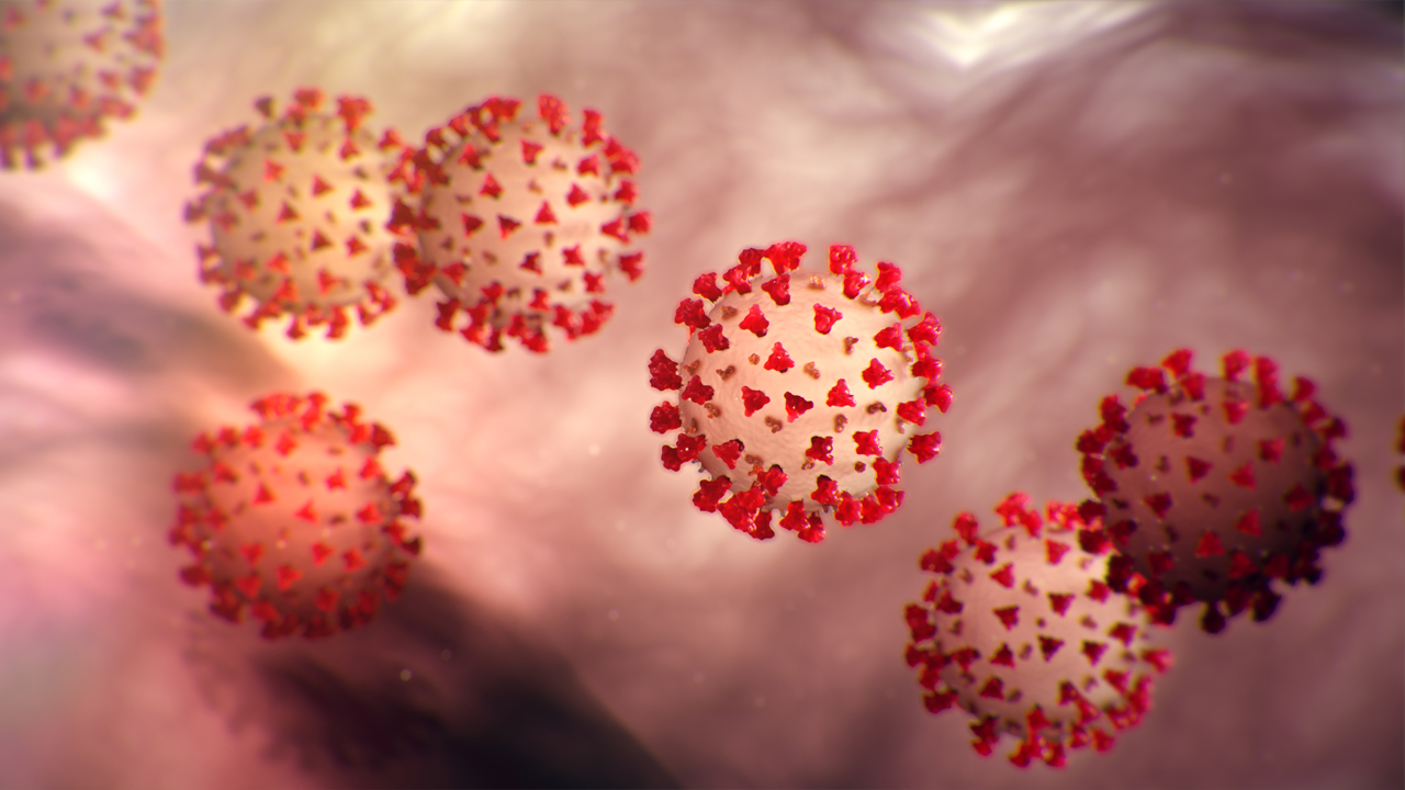 covid virus image